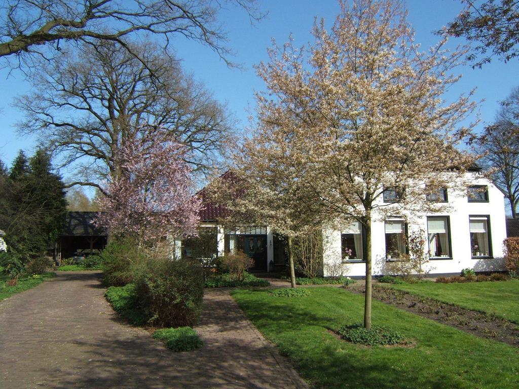 B&B"De Hassehof" Sellingen Extérieur photo