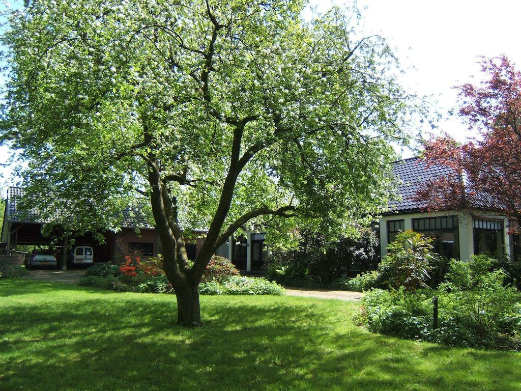 B&B"De Hassehof" Sellingen Extérieur photo